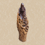 意达工艺 福州木雕根雕工艺品摆件批发 达摩 天然枣木树根 精品