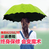 遇水开花晴雨伞折叠两用韩国创意女太阳伞防晒防紫外线遮阳伞三折