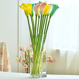 大号玻璃花瓶透明创意方形插花瓶包邮欧式水培富贵竹花瓶摆件客厅