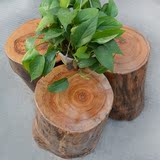 香樟木小树桩树墩枣木圆木桩原木创意木墩凳子实木根雕设计师道具
