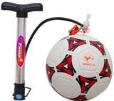 篮足排球打气筒 球类专用打气筒 自行车多功能充气筒送气针