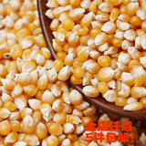 农家特产有机五谷杂粮粗粮 爆米花专用玉米 小粒玉米原料500包邮