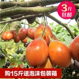 大树番茄洋酸茄云南特产农产品时令新鲜蔬菜蕃茄缅茄500克