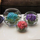 wo+透明玻璃圆形鱼缸花瓶 绣球花艺套装 餐桌会议室装饰花摆设