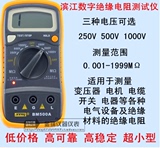 滨江BM500A数字绝缘电阻测试仪 电子摇表1000V兆欧表电阻表BM500
