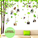 墙大树墙贴 田园绿色贴画客厅宿舍教室沙发背景布置装饰贴纸照片