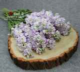 紫罗兰批发家庭办公室插花养用花一扎10支云南昆明基地紫罗兰鲜花
