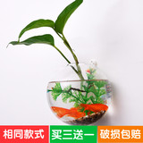 壁挂玻璃花瓶透明水培玻璃鱼缸绿萝插花器装饰品简约家居客厅摆件