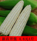 农家新鲜糯玉米棒 新货 白糯玉米 玉米 纯天然有机非转基因农产品