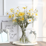 欧式现代简约圆口玻璃花瓶 创意透明插花日式花器 客厅装饰摆件
