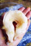 【语燕坊】新西兰lingfish花胶滋补美容孕期月子保养