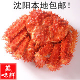 智利进口帝王蟹熟冻帝王蟹2.8-3.2斤进口海鲜大螃蟹1只255元