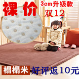 出口日式加厚榻榻米地垫防滑地毯客卧室厅飘窗床垫异形可定做包邮