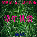 小米椒 尖椒 新鲜青辣椒 农家种植 有机小尖椒 朝天椒 特别辣250g