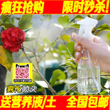 日本正品 园艺浇花喷雾瓶细雾美容美发补水喷雾壶气压喷雾器200ML