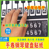 49键 61键 88键 手卷钢琴键盘数字贴纸 电子琴初学简谱贴纸对照贴