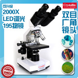 专业双目生物显微镜 数码 电子显微镜LED光/化验/精子/体检/养殖