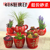 创意个性中国红送福大陶瓷多肉花盆批发 绿植盆栽盆景组合 包邮