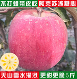 正宗新疆特产阿克苏冰糖心苹果5斤新鲜水果红旗坡产 比烟台苹果好