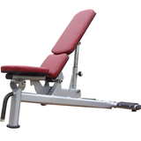 专业小飞鸟哑铃凳 轻商用健身椅卧推板腹肌板 健身房专用特价