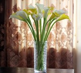 仿真花束马蹄莲PU客厅餐桌摆设花艺婚庆装饰花卉塑料花瓶插花