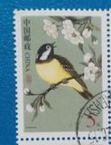 邮票收藏 普31中国鸟 信销散票 5元面值 单枚价 上品