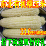 东北粘苞米黏玉米甜玉米年货黑龙江特产农家有机冷冻糯玉米棒包邮