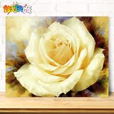 【佳彩天颜】diy数字油画客厅卡通植物花卉手绘填色装饰 白玫瑰