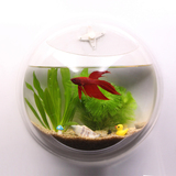 你小型挂壁鱼缸水族箱透明墙壁挂式鱼缸壁挂鱼缸创意生态亚克力迷