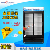 穗凌 LG4-700M2/WT商用冰柜立式双门展示柜无霜风冷保鲜柜饮料柜