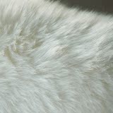沙发垫皮毛一体防滑飘窗垫可定制AUSKIN澳洲羊毛椅垫坐垫整张羊皮