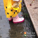 儿童韩版kttiy猫原高品质雨鞋雨靴女童橡胶防滑 另售雨衣可搭