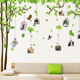 家装照片树可移除墙贴客厅电视沙发背景墙壁贴纸卧室房间温馨贴画