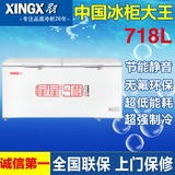 XINGX/星星 BD/BC-718C 星星冰柜冷柜冷藏冷冻 商用家用/卧式单温