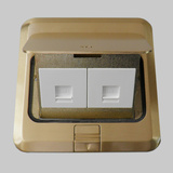 TCL罗格朗全铜地插正品二位双电脑网络地板地面带阻尼送地盒包邮