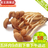 尚购24鲜菇 优质新鲜茶树菇 柳松菇1斤装 北京新发地蔬菜同城配送