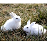包邮 仿真兔子模型小白兔子公仔儿童毛绒玩具摄影道具可爱趴趴兔