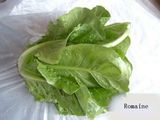 新鲜罗马生菜 Lettuce 精品生菜 500克 蔬菜沙拉
