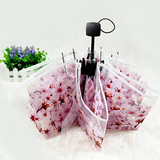 【紫雨町】韩国创意日本樱花伞雨伞 折叠透明长柄女动漫伞包邮