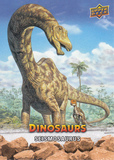 UPPER DECK 恐龙卡普卡49seismosaurus