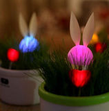 陶瓷月光兔小夜灯 情侣兔光控节能灯 真草种植浪漫礼物 创意礼品