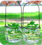 玻璃小挂瓶铁圈吊花瓶水培花器吊瓶悬挂壁挂送铁环日式南瓜造型