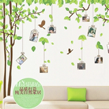 照片墙大树墙贴 田园绿色贴画客厅宿舍教室沙发背景布置装饰贴纸