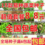 15种蔬果种子 阳台蔬菜种子种菜四季套餐 庭院蔬菜青菜籽特价包邮