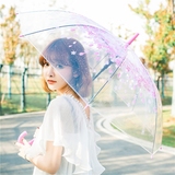 春夏季新品樱花透明伞小清新印花伞长柄伞阿波罗韩国创意雨伞女伞