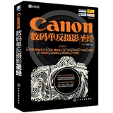 正版 Canon 数码单反摄影圣经 佳能5D2、5D3、7D、6D、70D、60D、700D、650D、600D、100D全部适用 通用性摄影指南书 摄影技巧指导
