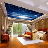 星空星星壁画 立体3D天花板吊顶墙纸 卧室客厅酒店大堂天花壁纸