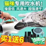 云禾宠物小型吹水机 超静音猫咪专用吹风机波斯猫布偶猫清洁用品