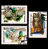 外国邮票 苏联1990年猫头鹰 鸟类邮票 3全 盖销