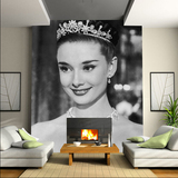 黑白人物素描肖像 奥黛丽赫本公主 背景墙纸壁纸 大型壁画定制做